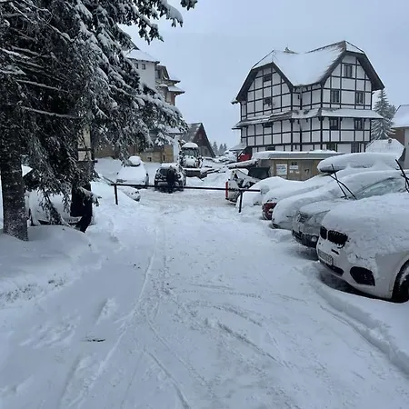 Violet Queen Kopaonik